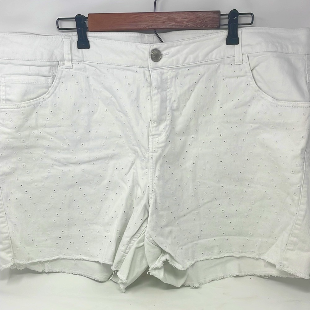 Lane Bryant White Eyelet Front Frayed Hem Shorts Size 26 Excellent Condition